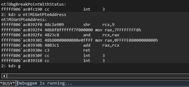 post3-windbg-poc5-2.png